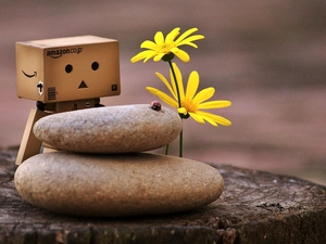 Flowers, trunk, ladybird, blur, Stones, Danbo