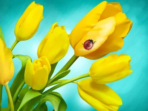ladybird, Yellow, Tulips