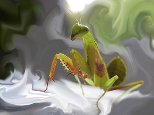 mantis, abstraction