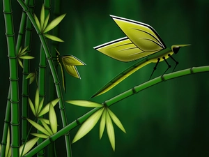 Leaf, dragon-fly, stems